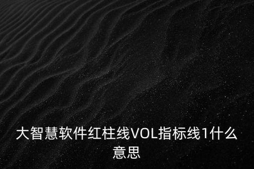 大智慧軟件紅柱線VOL指標線1什么意思