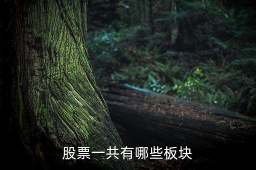 股票都有什么板，我國股票有哪些板塊