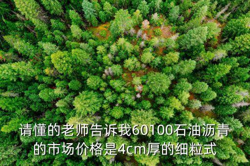 請懂的老師告訴我60100石油瀝青的市場價(jià)格是4cm厚的細(xì)粒式