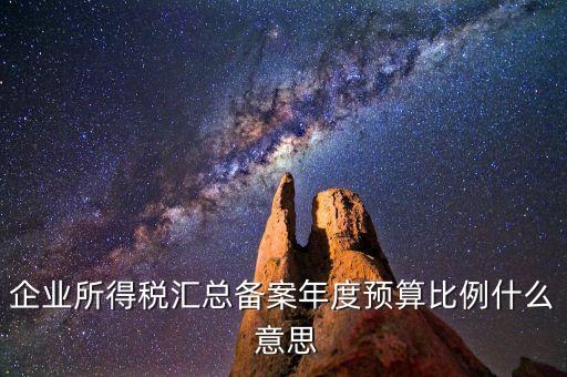 什么是財(cái)政調(diào)庫，總機(jī)構(gòu)在國稅繳納所得稅并且企業(yè)所得稅匯總分支機(jī)構(gòu)還用在地稅繳納