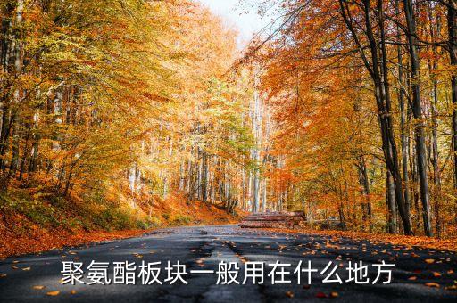 聚氨酯板塊一般用在什么地方
