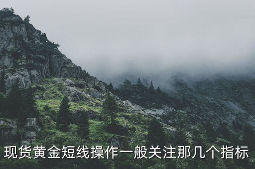 現(xiàn)貨黃金短線操作一般關(guān)注那幾個(gè)指標(biāo)