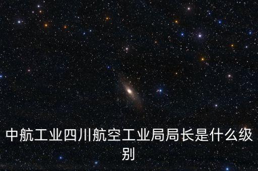 中航王斌什么級別，中航工業(yè)陜飛集團董事長是什么行政級別