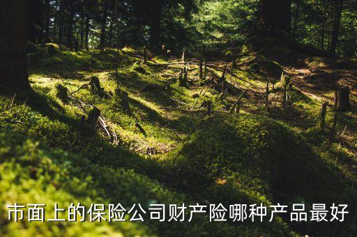 市面上的保險公司財產(chǎn)險哪種產(chǎn)品最好