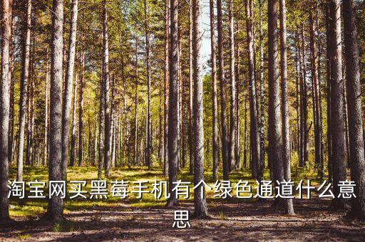 淘寶網(wǎng)買(mǎi)黑莓手機(jī)有個(gè)綠色通道什么意思