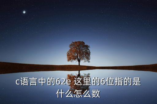 什么是dde散戶數(shù)量，c語言中的62e 這里的6位指的是什么怎么數(shù)
