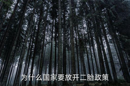 為什么要全面放開二胎，為什么開放二胎