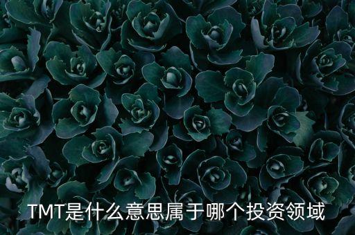 泛tmt領(lǐng)域是什么意思，PRQ是什么意思