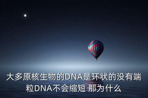 大多原核生物的DNA是環(huán)狀的沒有端粒DNA不會縮短 那為什么