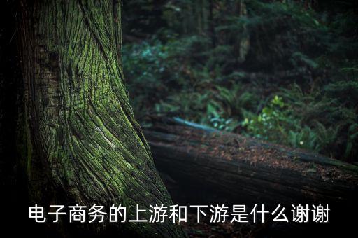 上游客戶和下游客戶什么意思，上游客戶什么意思
