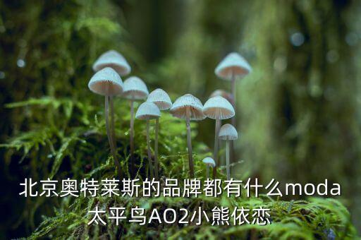 北京奧特萊斯的品牌都有什么moda太平鳥AO2小熊依戀