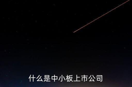中小板指是什么，什么是中小板上市公司