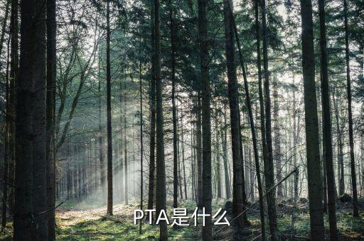 PTA是什么