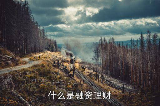 什么是融資理財(cái)