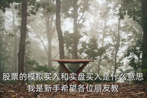 股票的模擬買入和實盤買入是什么意思我是新手希望各位朋友教
