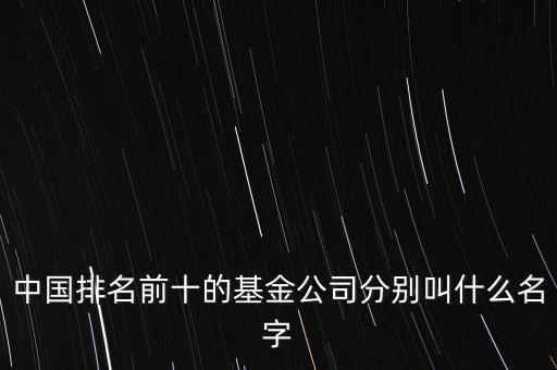 中國排名前十的基金公司分別叫什么名字
