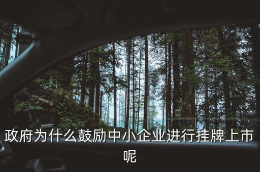 政府為什么鼓勵(lì)中小企業(yè)進(jìn)行掛牌上市呢