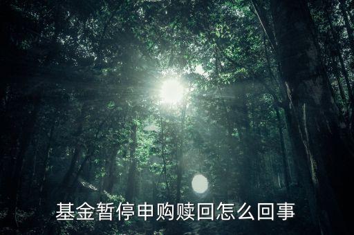基金暫停申購贖回怎么回事