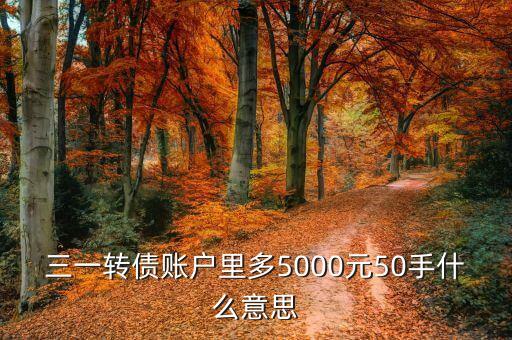 三一發(fā)債是什么意思，三一重工公開發(fā)行可轉換公司債券買了750轉股價是什么意思