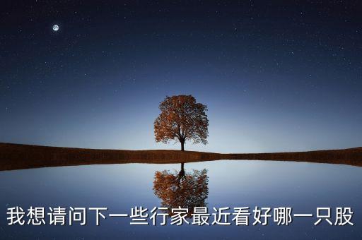 我想請問下一些行家最近看好哪一只股