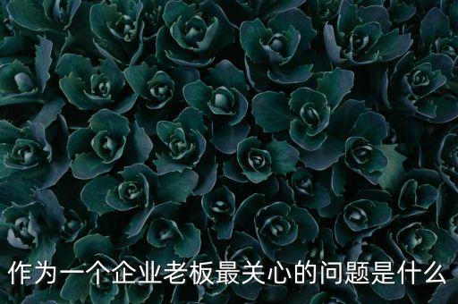 作為一個企業(yè)老板最關(guān)心的問題是什么