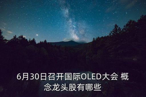 6月30日召開(kāi)國(guó)際OLED大會(huì) 概念龍頭股有哪些