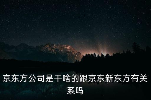 為什么加入京東方，京東方是做什么的