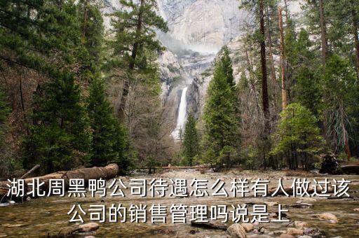 湖北周黑鴨公司待遇怎么樣有人做過(guò)該公司的銷售管理嗎說(shuō)是上
