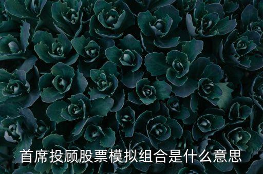 首席投顧股票模擬組合是什么意思