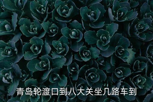 青島輪渡口到八大關(guān)坐幾路車到