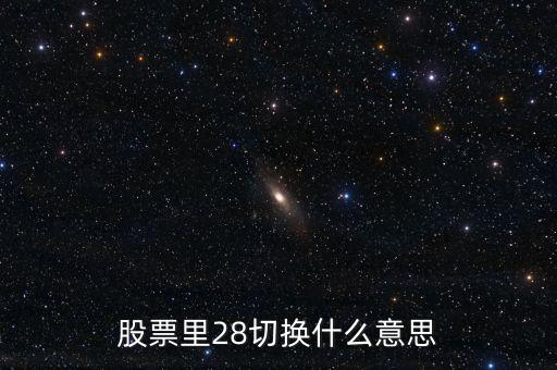 二八切換是什么意思，股票里28切換什么意思