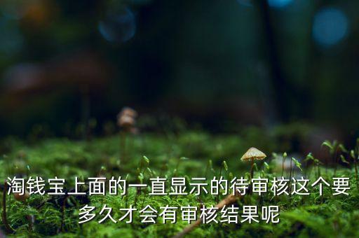 錢寶平臺審核什么意思，錢寶被凍結了審核會被取消嗎