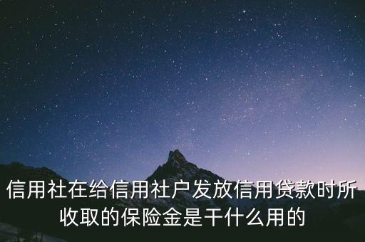 信用社在給信用社戶發(fā)放信用貸款時所收取的保險金是干什么用的