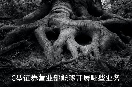 C型證券營(yíng)業(yè)部能夠開(kāi)展哪些業(yè)務(wù)