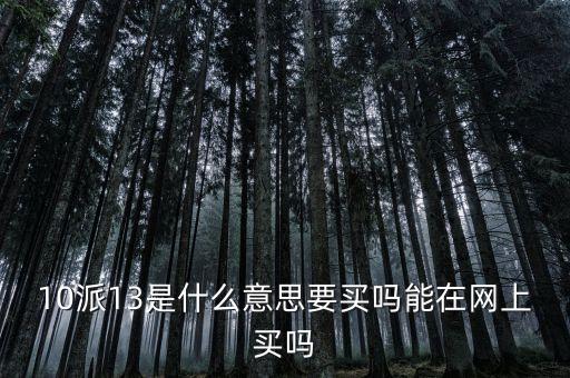 10派13是什么意思，10派13是什么意思要買嗎能在網上買嗎