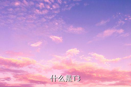 新股申購(gòu)t十3什么意思，什么是T3