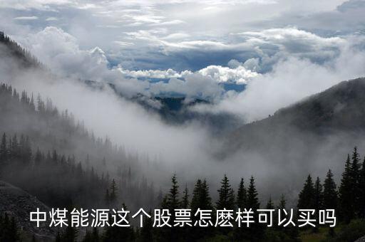 中煤能源為什么虧損，請(qǐng)問(wèn)中煤能源跌了這么多我十一元九的成本現(xiàn)在怎么辦哦  搜