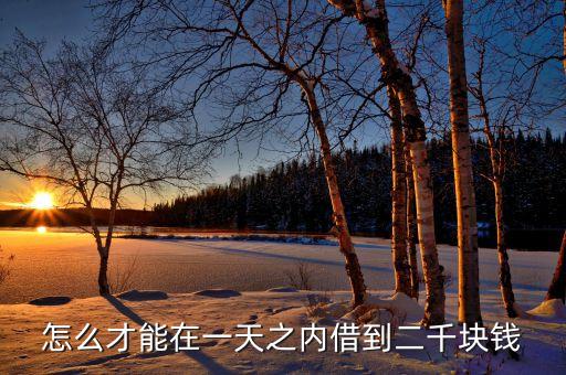 有什么方法一天借到2000元，什么地方可以借到2000元