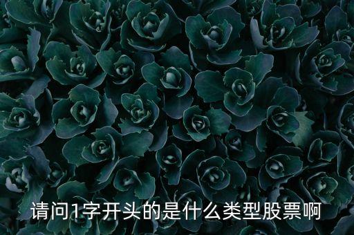 請(qǐng)問(wèn)1字開頭的是什么類型股票啊