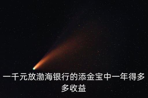 一千元放渤海銀行的添金寶中一年得多多收益
