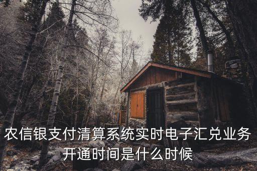 什么是特約電子匯兌，各位大神請問有誰知道建行卡交易明細(xì)清單上寫的特約匯融