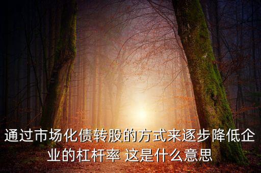 通過市場(chǎng)化債轉(zhuǎn)股的方式來逐步降低企業(yè)的杠桿率 這是什么意思