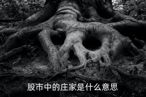 股市中的莊家是什么意思
