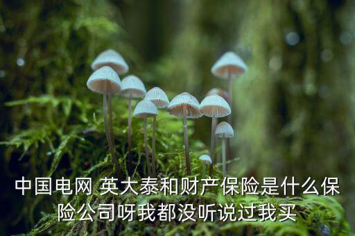 中國(guó)電網(wǎng) 英大泰和財(cái)產(chǎn)保險(xiǎn)是什么保險(xiǎn)公司呀我都沒(méi)聽(tīng)說(shuō)過(guò)我買