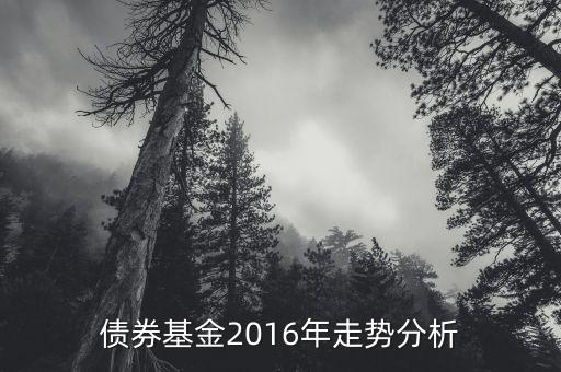 2016年的債券的投資的方向是什么，債券基金2016年走勢(shì)分析