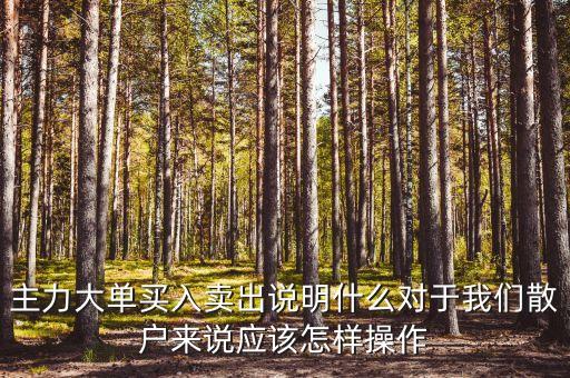 主力大單買入賣出說明什么對于我們散戶來說應(yīng)該怎樣操作