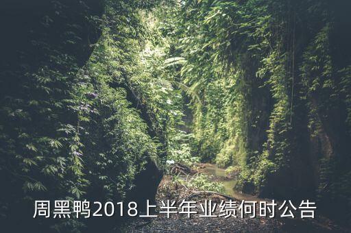 周黑鴨2018上半年業(yè)績(jī)何時(shí)公告