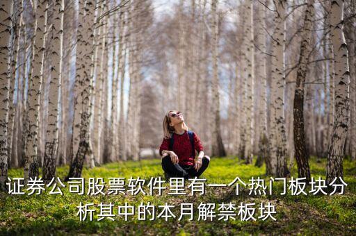 證券公司股票軟件里有一個(gè)熱門板塊分析其中的本月解禁板塊