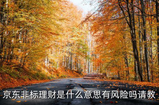 京東非標(biāo)理財(cái)是什么意思有風(fēng)險(xiǎn)嗎請(qǐng)教