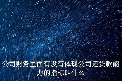公司財(cái)務(wù)里面有沒有體現(xiàn)公司還貸款能力的指標(biāo)叫什么